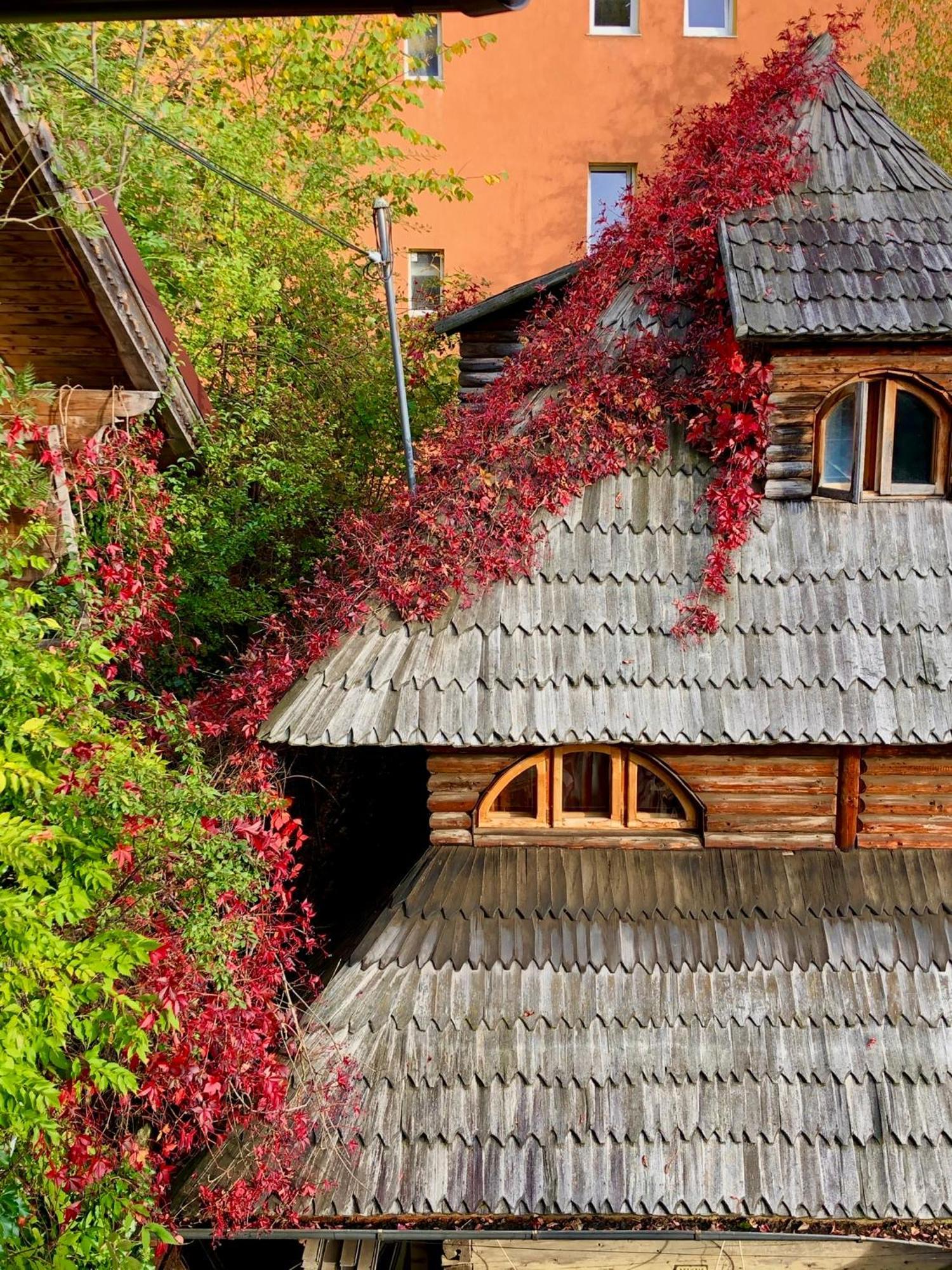 Casa Ieud - Catun Villa Sinaia Luaran gambar